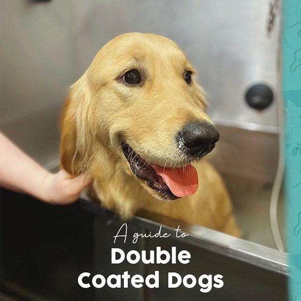 Double coat dog outlet clippers