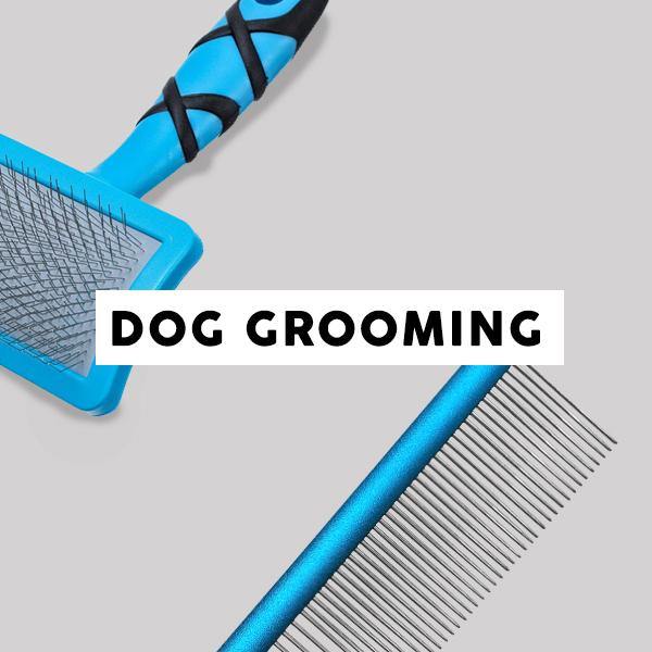 Dog Brush – Sixth and Zero