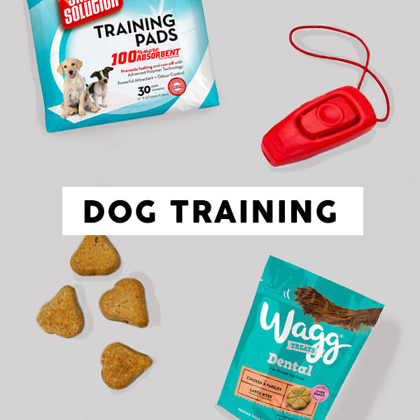 Dog training clearance products