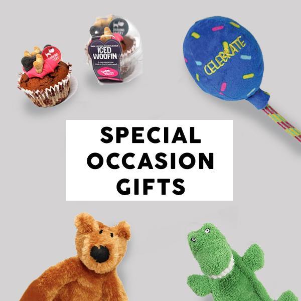 Gifts For Dogs: 16 Presents Perfect For Any Occasion - DodoWell