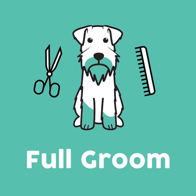 Miniature schnauzer best sale groomers near me