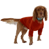 Pawsome Suits - 2 Leg Dog Suit Polar Fleece