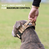 BullyBillows 5cm Combat® Collar | With Handle & Secure Clip