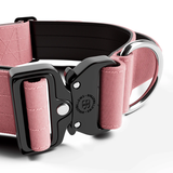BullyBillows 5cm Combat® Collar | With Handle & Secure Clip