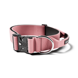 BullyBillows 5cm Combat® Collar | With Handle & Secure Clip