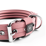 BullyBillows 5cm Pin Buckle Collar | NO Handle