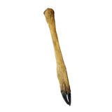 Anco Naturals Hairy Roe Deer Leg