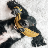 Barry the Banana, Eco Toy