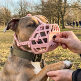 BullyBillows Premium Comfort Muzzle