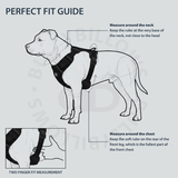 BullyBillows Premium Comfort Harness | Non Restrictive & Adjustable - Black