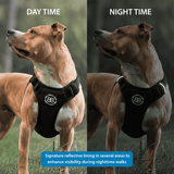 BullyBillows Premium Comfort Harness | Non Restrictive & Adjustable - Black