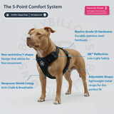 BullyBillows Premium Comfort Harness | Non Restrictive & Adjustable - Black