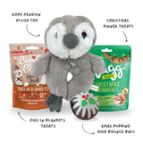 Christmas Doggy Gift Box