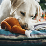 Christmas Roast Turkey Plush Dog Toy - Underdog Pets