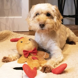 Cupid & Comet George Gingerbread Man Dog Toy