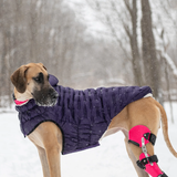 GF Pet Elasto-Fit Cloud Parka Purple