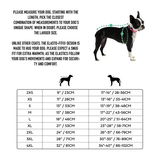 GF Pet Elasto-Fit Nordic Parka with InFiber Dark Teal