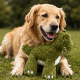 House of Paws Dinosaur Big Paws