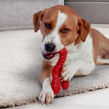Nylabone Power Chew Lobster Flavour Toy