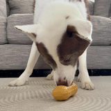 Nylabone Peanut Spread Medium Dog Licking Toy