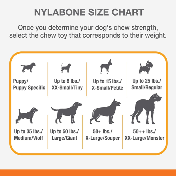 Nylabone Extreme Tough Dog Chew Toy Wooden Stick, Durable, Cleans Teeth, Bacon Flavour, XL, for Dogs Over 23 kg
