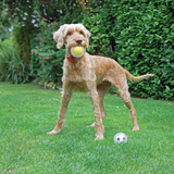 Rosewood Catch and Play Duo Tennis Ball