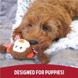 Rosewood Little Nippers Cheeky Chimp
