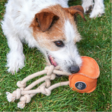 Sid the Squid Eco Dog Toy