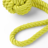 Yellow Rope Eco Dog Toy