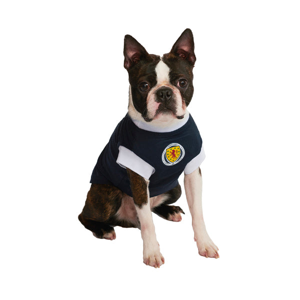 Celtic Football Team Shirt  Dog Celtic Football Club at Urban Pup